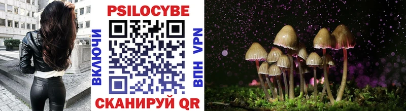 Псилоцибиновые грибы прущие грибы  Алзамай 